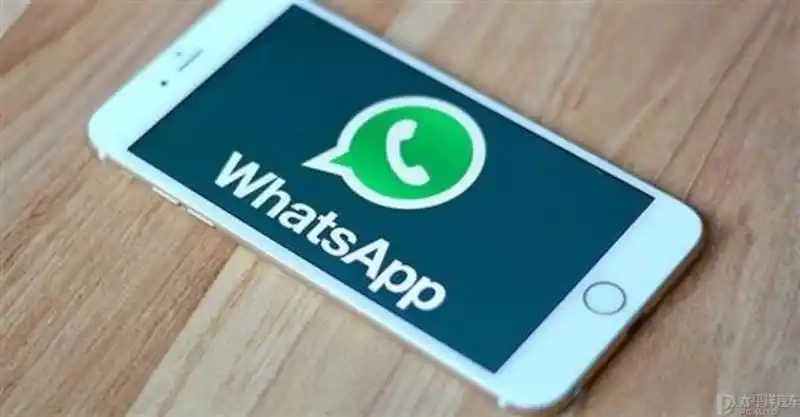 WhatsApp_巴西打车软件99_滴滴出行巴西合作WhatsApp