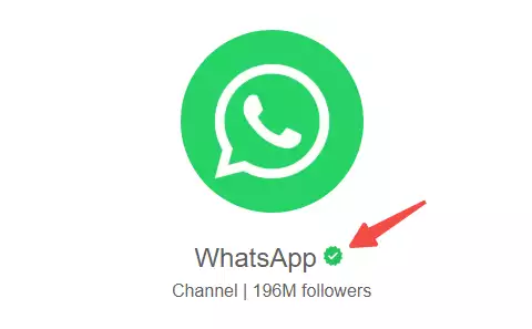 WhatsApp_WhatsApp官方认证绿标申请技巧_提升品牌曝光度WhatsApp认证