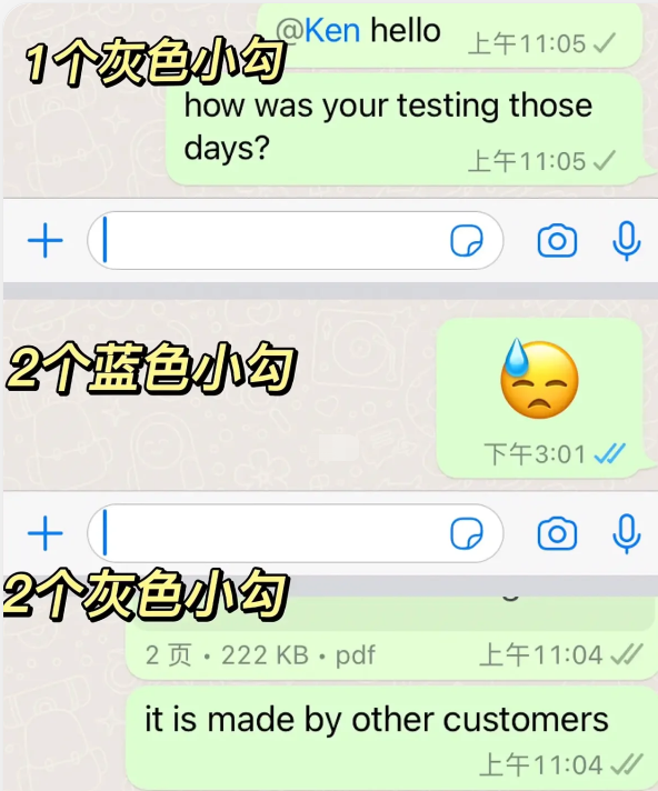 whatsapp2025安卓版