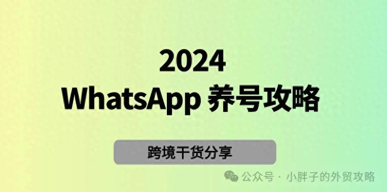 WhatsApp养号攻略和技巧（2024.12月）