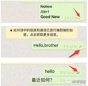 2、WhatsApp如何撤回消息？