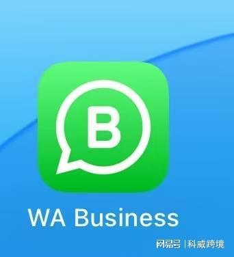 whatsapp为什么收不到验证码
