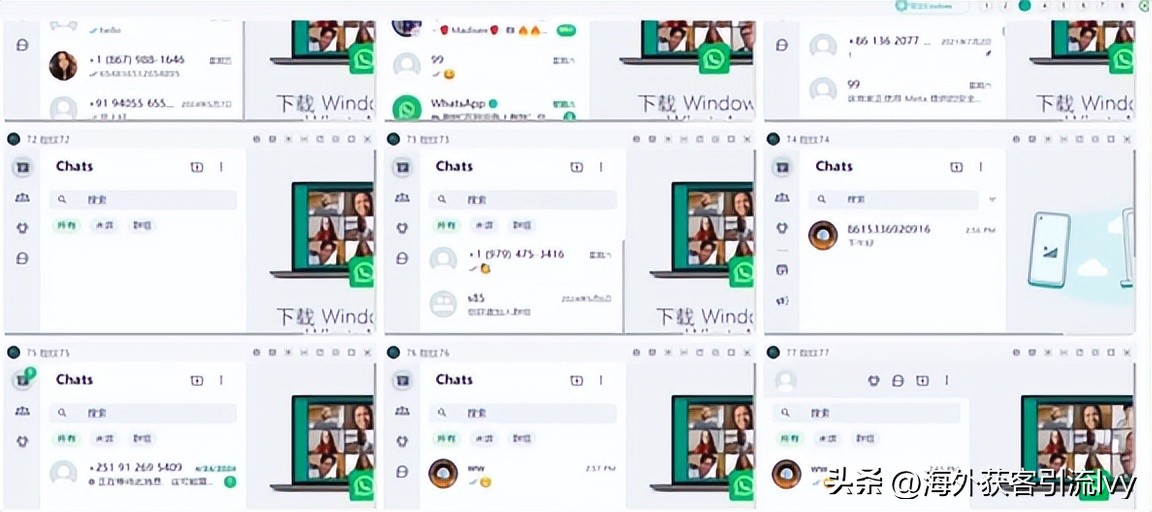 最全的whatsapp群发使用指南