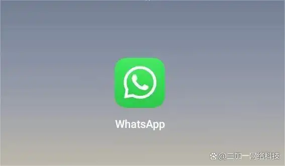 WhatsApp国际通讯功能_WhatsApp_WhatsApp加密即时通讯