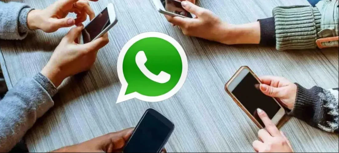 外贸实操：WhatsApp使用大全-连载1 - 哔哩哔哩