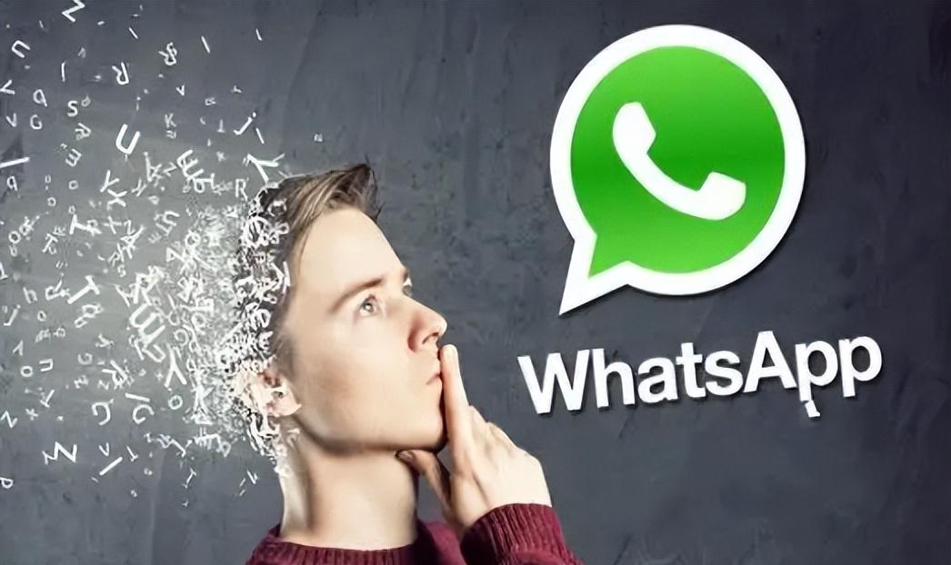 WhatsApp使用教程全攻略，外贸快速上手WhatsApp看这一篇就行