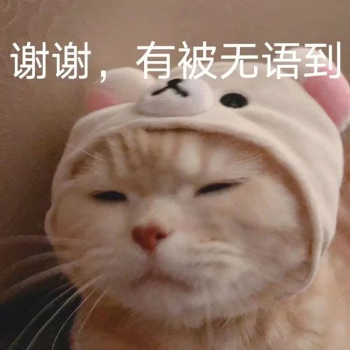 借了我们钱的德国小姑子，她的近况令我震惊，怕不是疯了吧？