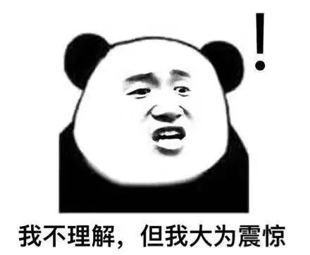 借了我们钱的德国小姑子，她的近况令我震惊，怕不是疯了吧？