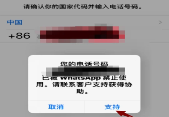 收藏！WhatsApp最全使用攻略！ - 哔哩哔哩